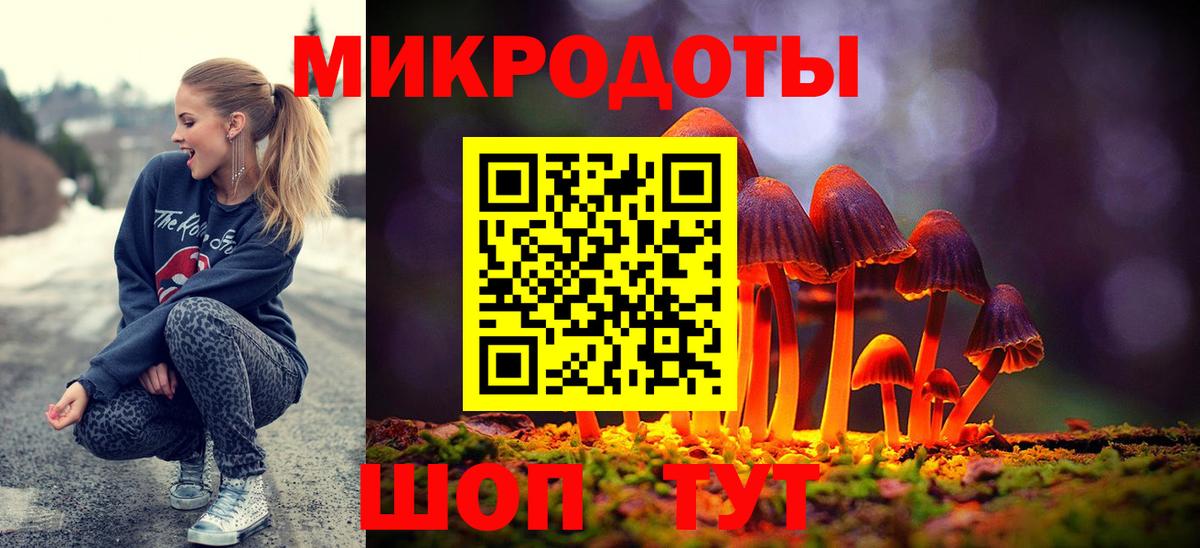 Галлюциногенные грибы Psilocybe Нарткала
