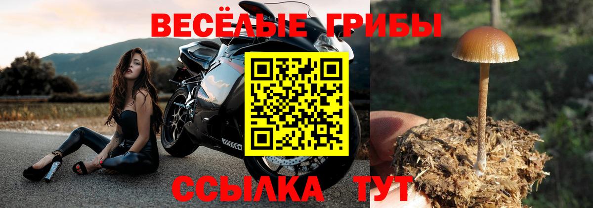 купить  цена  Вход с VPN  Галлюциногенные грибы GOLDEN TEACHER  Нарткала  Псилоцибиновые грибы мухоморы 